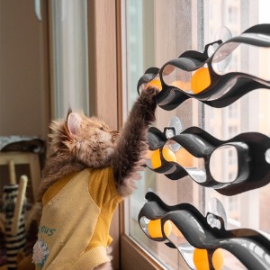 고양이 셀프 장난감 트랙볼